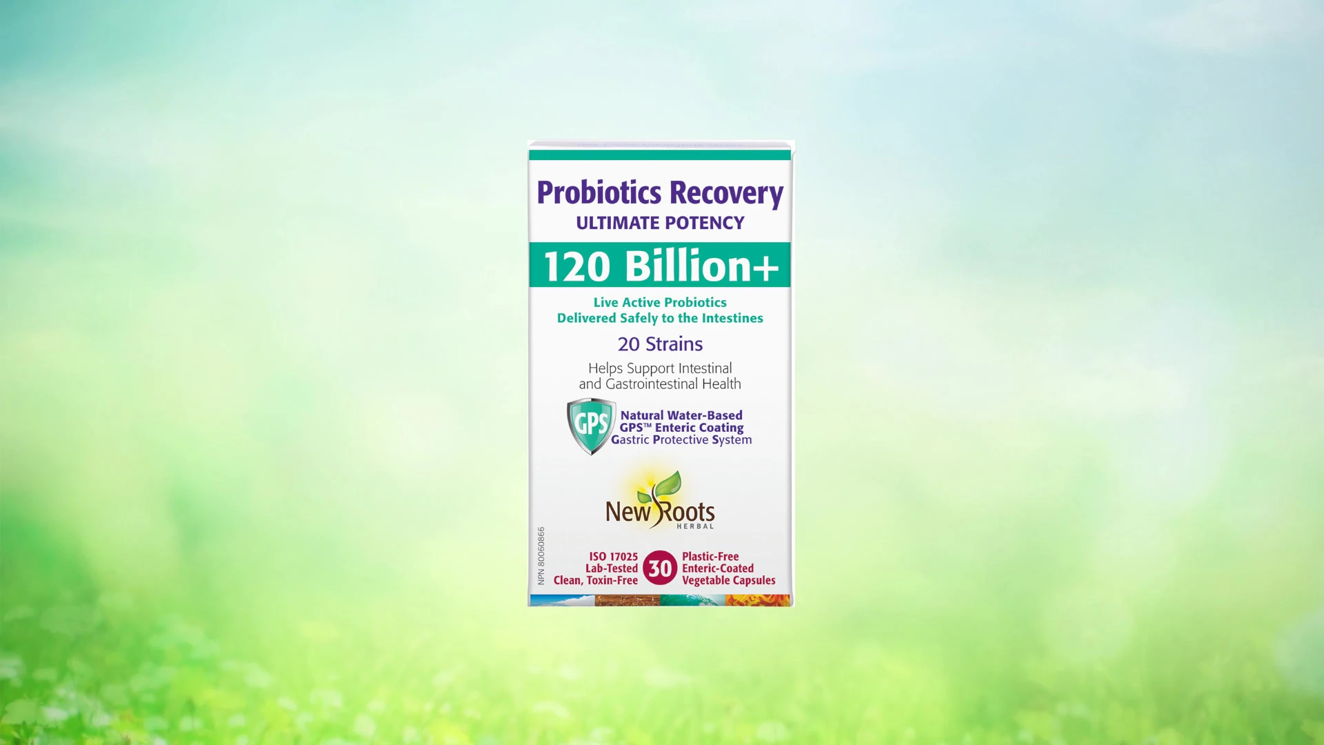 Thumbnail for Probiotics Recovery
